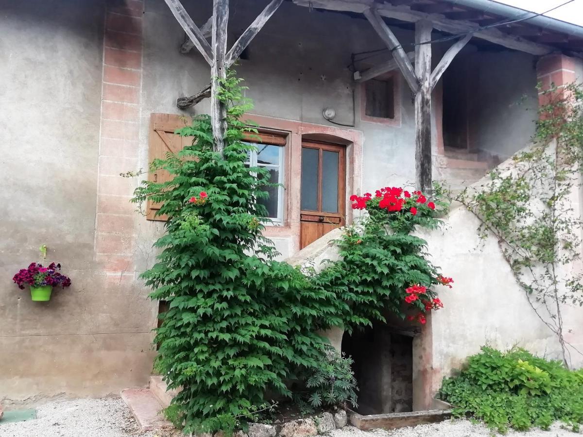 La Maison Moja Préty المظهر الخارجي الصورة